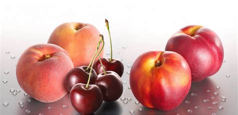 wilko fruit.